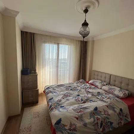 Halic 3*
